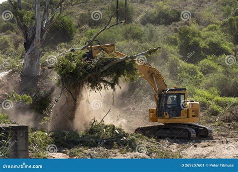 removing trees with excavators